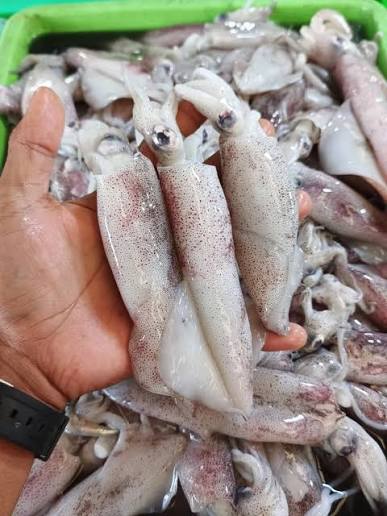 Harga  1 Rupiah